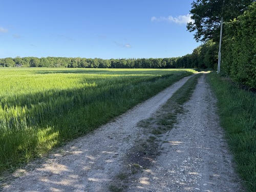 Au hameau du Frais Vent, un large chemin longe, puis entre dans le bois de Brosville.