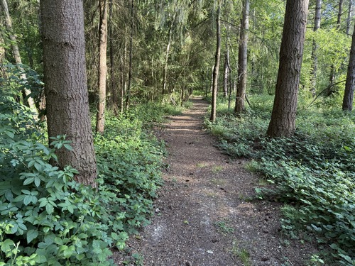Le large chemin se dirige vers une propriété, c'est un chemin plus étroit, mais très agréable, que nous suivons pour la contourner.