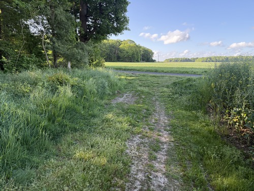 Nous sortons du bois et allons prendre la petite route à gauche pour nous diriger vers le hameau du Nuisement.
