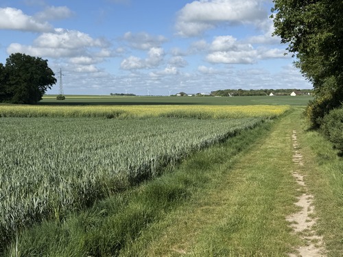 Après la Grosse Epine, nous sommes dans la plaine agricole à l'est de Bérengeville-la-Campagne. Jadis, un moulin s'activait sur cette partie dégagée du plateau.