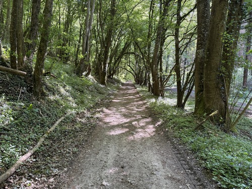 Le GR26 descend le coteau boisé entre la Côte de Rublemont et la Côte des Ratés.&nbsp;