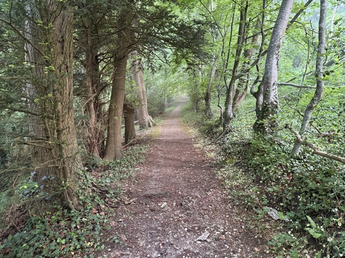 Le chemin monte sur le coteau à la manière d'un escalier dans sa première partie, et s'élargit en approchant du hameau d'Auffay.