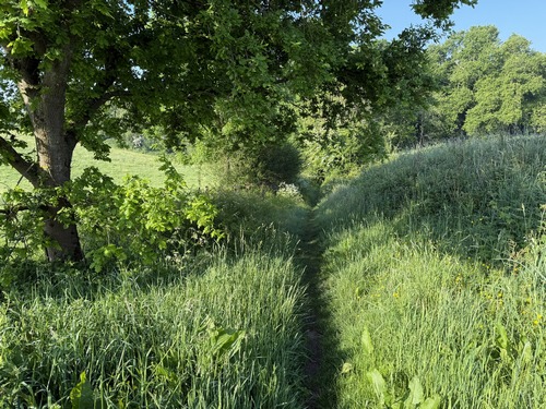 Avant d'arriver au hameau du Mont Morel, nous descendons le coteau vers le Hanouard.