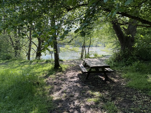 Table de pique-nique en bordure de la zone humide de la Durdent.