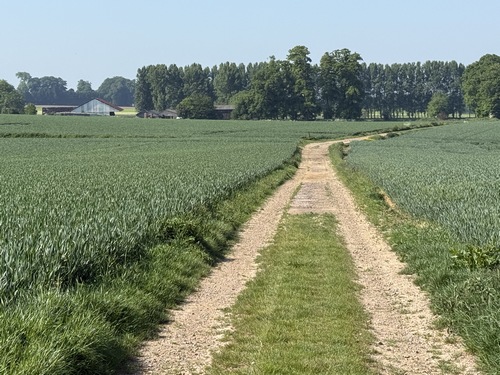 Le chemin (GR211b) continue dans la plaine d'Ourville-en-Caux, nous allons le quitter pour marcher en direction de Beuzeville-la-Guérard.