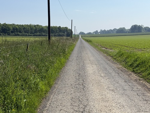 Nous avons traversé Beuzeville-la-Guérard, et suivons la route du Parquet, petite route déserte mais rectiligne, qui traverse la plaine du même nom sur 1200m.