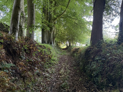 Nous traversons le hameau du Clais sur ce chemin qui évite le centre du bourg. Le chemin est balisé de vert.