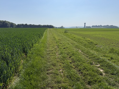Le chemin balisé de vert relie le Clais à Sommesnil. Qui dit chemin officiel ne dit pas forcément chemin entretenu, un peu plus loin le manque d'entretien nous contraint à marcher dans les herbes hautes puis en bordure de champ. Rien de dramatique.