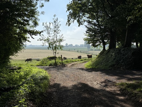 Après Goupillières, nous retrouvons les chemins, toujours sur le GR212.