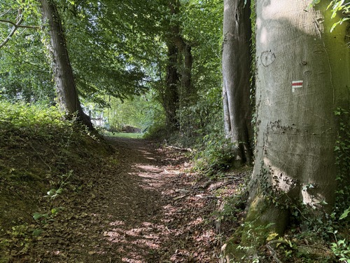 Le GR212 va tourner vers l'ouest, nous le quittons pour tourner vers Renfeugères.