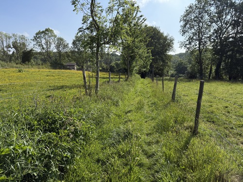 Le Chemin du Calvaire devient un vrai chemin après les dernières maisons.