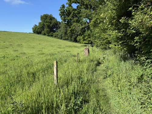 GR211b le long du bois du Château.