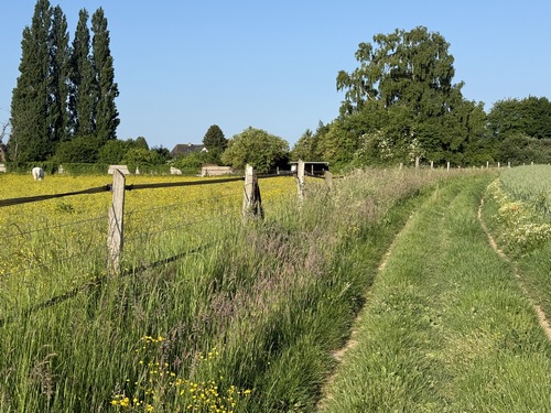Qui croirait que nous sommes dans l'agglomération rouennaise ?