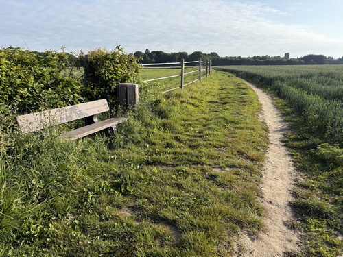 Les chemins de Franqueville-St-Pierre sont aménagés avec soin et parfaitement entretenus.