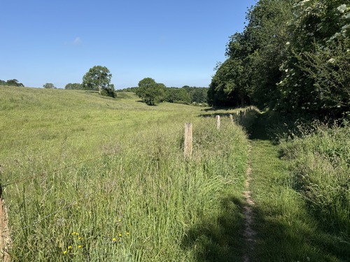 Au sommet, nous ne résistons pas au plaisir de suivre ce sentier ombragé qui contourne la ferme de la Caillette.