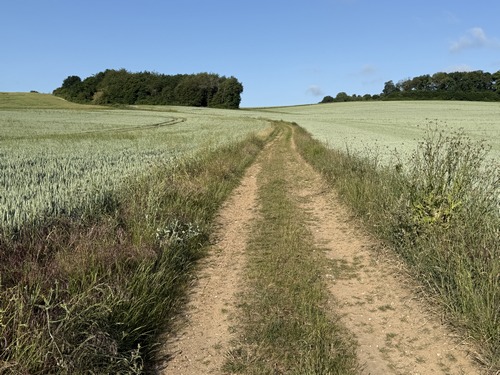Notre circuit monte sur les collines de la vallée de l'Eure. Ce sont de douces collines dont la faible pente permet l'agriculture.