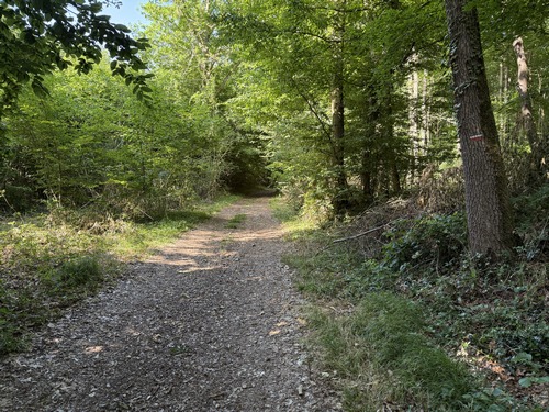 Le GR26 traverse le bois des Marettes.