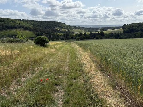 La descente vers le hameau des Vallois offre un beau panorama sur les collines et vallons de l'Eure. Notre prochaine étape est le bois de la Ronce, que l'on voit à gauche sur sa colline.&nbsp;