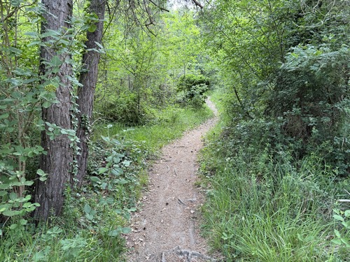 Aux Vallois, l'entrée du sentier qui monte dans le bois de la Ronce est discrète, mais balisée par le GR26.&nbsp;