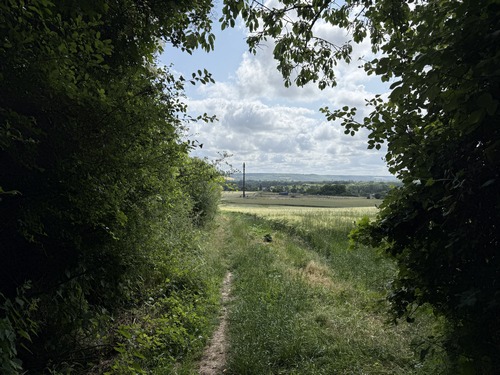 Nous sortons du bois de la Ronce au dessus de Jouy-sur-Eure.