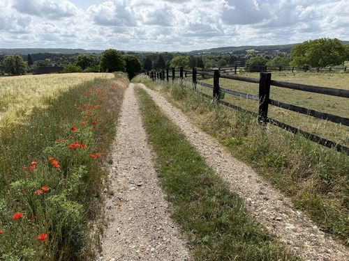 Descente vers Jouy-sur-Eure. En dehors des rues de Jouy, il y a très peu de surfaces goudronnées sur ce circuit.