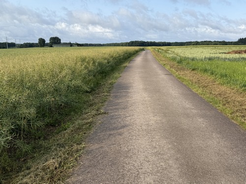 Nous partons du parking de l'église et sortons du bourg par la rue des Houssayes, longue voie sans issue qui ne dessert que la ferme de Quetteville et l'ancienne ferme des Houssayes. Elle n'est pas désagréable à la belle saison quand les champs sont couverts de cultures de toutes sortes.