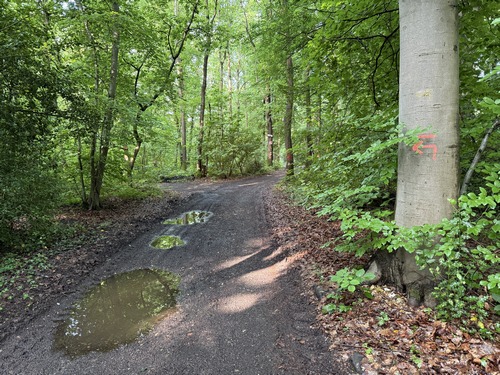 Notre circuit quitte le chemin principal pour tourner à gauche ici, guidé par des balisages de toutes sortes.