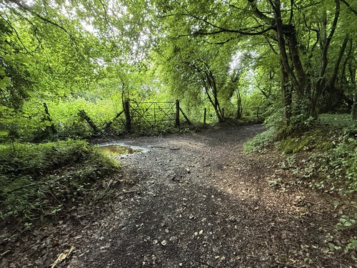 Arrivés dans la Grande Vallée nous allons tourner ici à gauche pour prendre la direction de la forêt de Longboël.