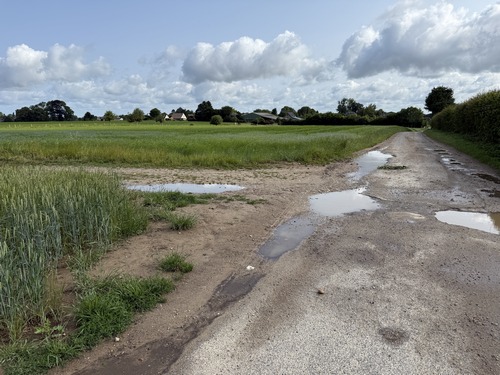 Avant d'atteindre les premières maisons, nous tournons ici à gauche sur les chemins des champs.