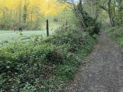 Dans la vallée, il faut tourner vers le nord au pied du bois de Pîtres. Il n'y a aucun balisage, la trace GPS est indispensable.