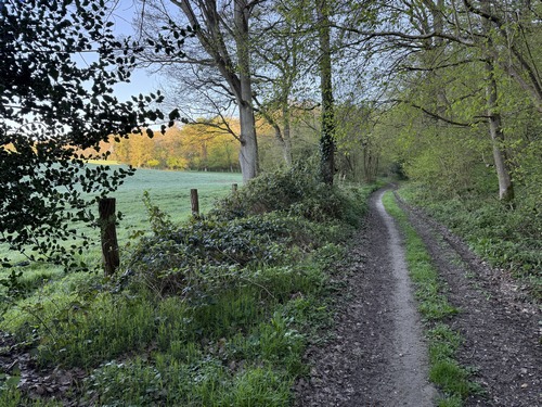 Le chemin dans le bois est vraiment délicieux, mais à éviter en période humide où il y a des passages très boueux et glissants.