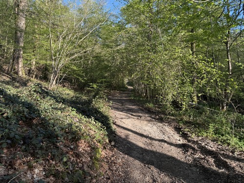Jusqu'à présent la montée vers le plateau de Boos était imperceptible, elle est plus sensible ici dans le bois des Fouilles.