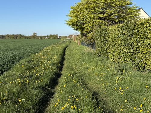 Boos, plaine de la Porte Rouge en direction du sud.