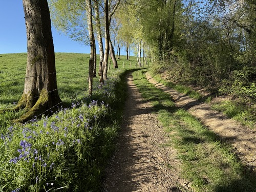 Traversée des Bucaux et de la Motte Couture, toujours en direction du sud.