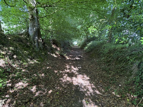Près du Haras, nous trouvons notre premier chemin (GR211B) qui file droit vers l'ouest.