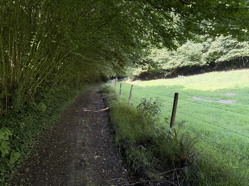 Nous arrivons au sud de Bosville où le GR211B continue sur le Chemin des Puits.