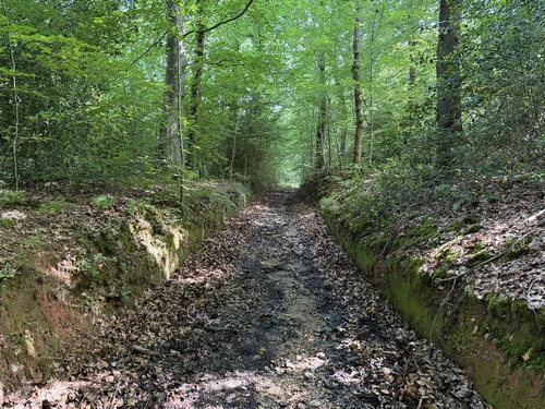On peut constater par endroits, comme ici, qu'autrefois le Chemin de la Roquette était une voie carrossable qui reliait la ferme de la Roquette à Grainville.