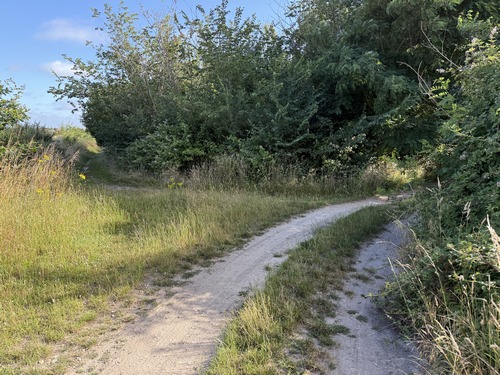 En vue des Authieux, nous quittons le GR2 et restons sur le chemin principal qui tourne à droite.