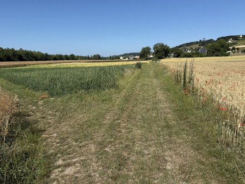Nous sortons d'Igoville par le chemin des Fondriaux. Le GR2 va continuer vers le centre de Sotteville, nous tournons à gauche ici pour prendre la direction du Parc des Saules.