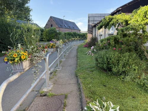 Je sors du bourg par la petite route de Coquereaumont.