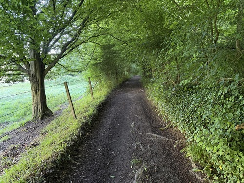 Avant Coqueréaumont, j'attrape le GR25c que je suis le long du bois de la Bruyère.