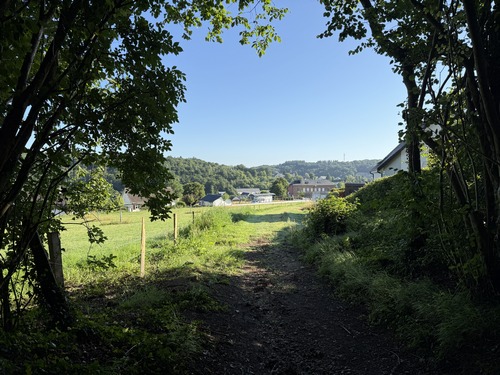 Sortie des bois à l'entrée de Fontaine-le-Bourg.