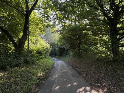 La rue du Mont-Grimont devient une petite route sans issue qui dessert le château hyponyme et une ancienne ferme.