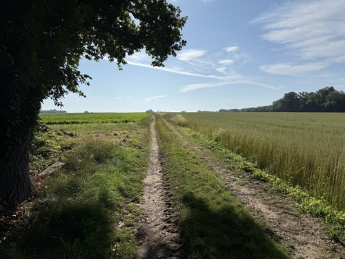 La route devient chemin après l'ancienne ferme et continue à travers champs sur le plateau. Le circuit longe le château du Varat, mais il n'est pas visible.