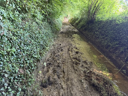 Attention, au Fond de la Croix Cariat le chemin creux reste humide alors que nous sommes en période de canicule. Il est donc certainement inondé en période de pluie, sans échappatoire possible.