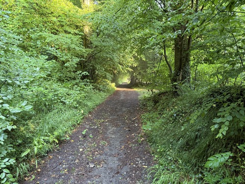 Au sommet, le chemin longe la lisière et se dirige vers le hameau du Thieulin.