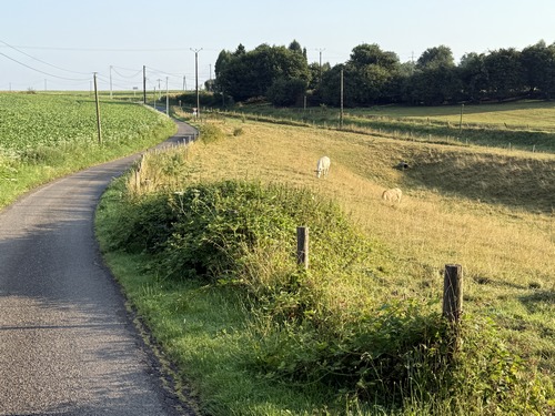 Au Thieulin, nous suivons cette petite route qui traverse la route de Clères (D53) et se dirige vers le Creux.