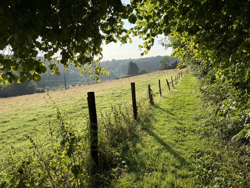 Le chemin des Maisonnettes est un délicieux chemin qui domine le vallon.