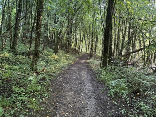Dans le vallon, nous suivons le chemin qui monte paisiblement dans le bois du coteau vers le Mesnil Englier.