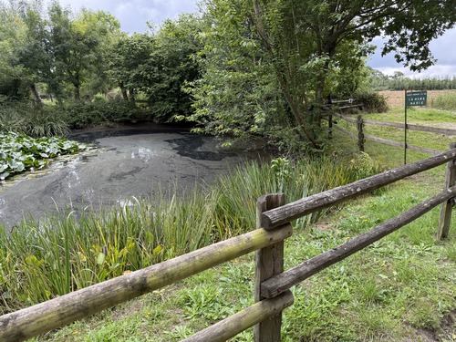 La mare Marie au Grand Beaucher.